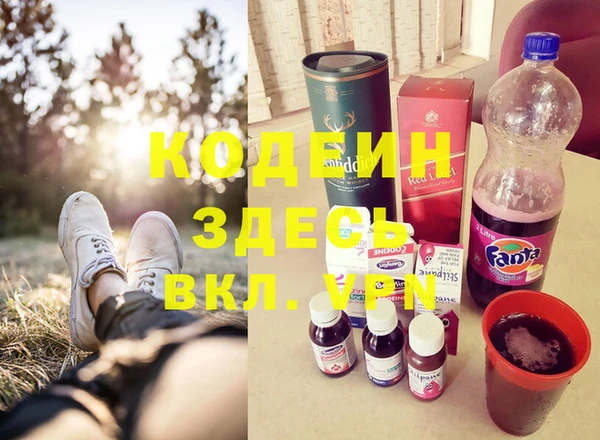 дживик Бородино