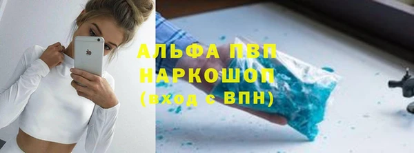 индика Вяземский