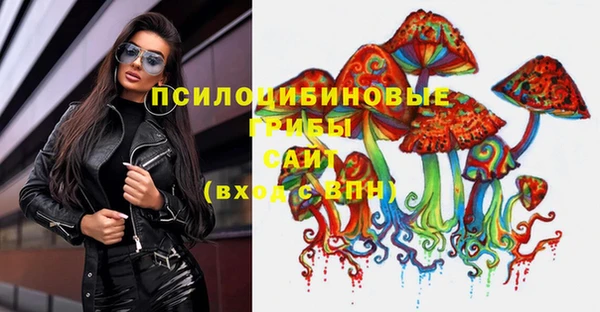 мдпв Волосово
