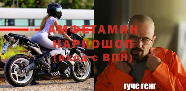 дживик Бородино