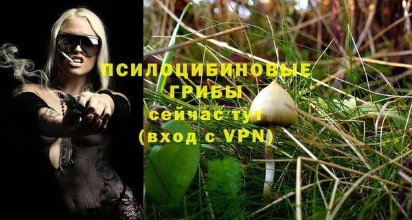 дживик Бородино