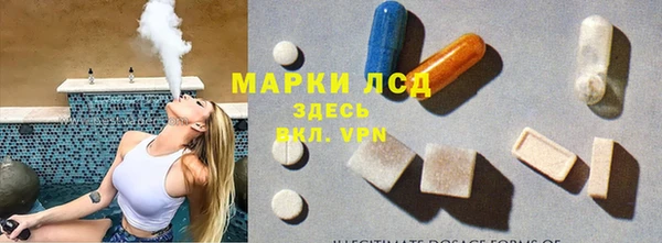 стафф Володарск