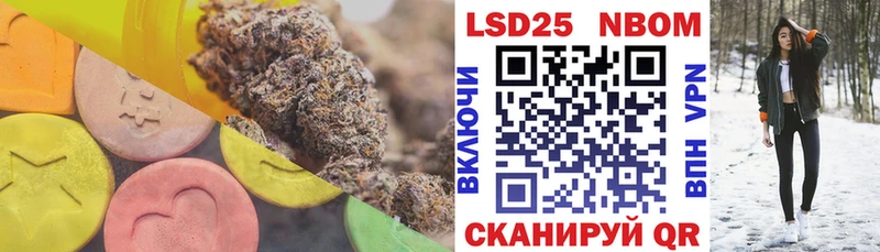 купить Старица Лсд 25 экстази кислота