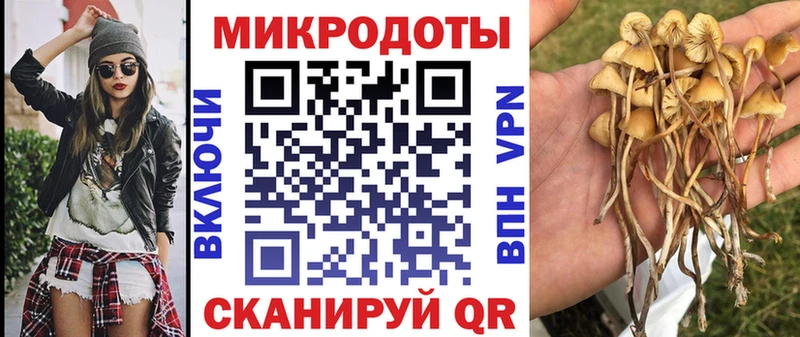 Псилоцибиновые грибы мицелий  наркотики  Старица 